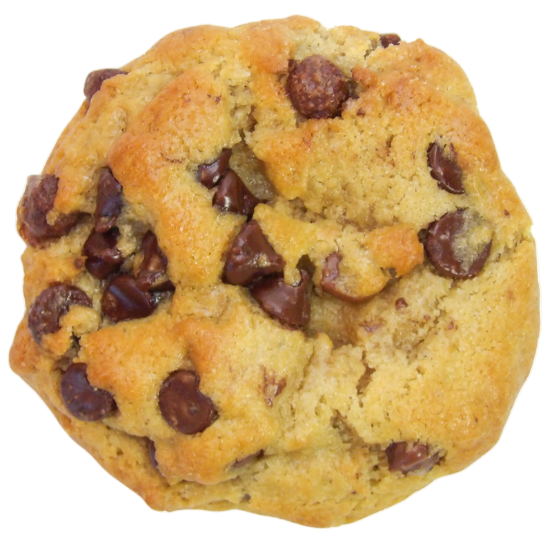 Chocolate Chip