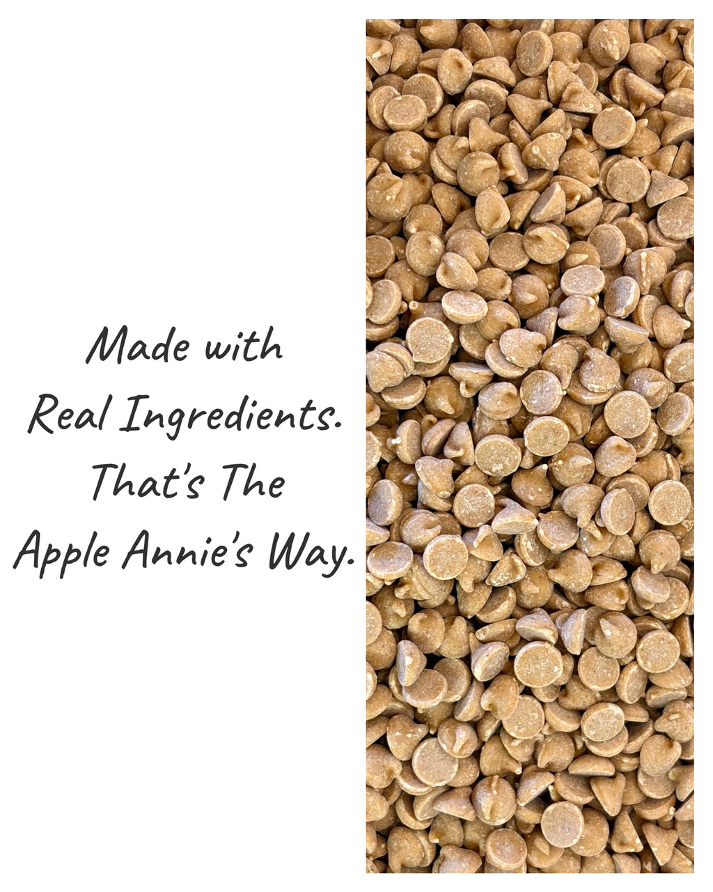 Annie’s June Favorites Bundle