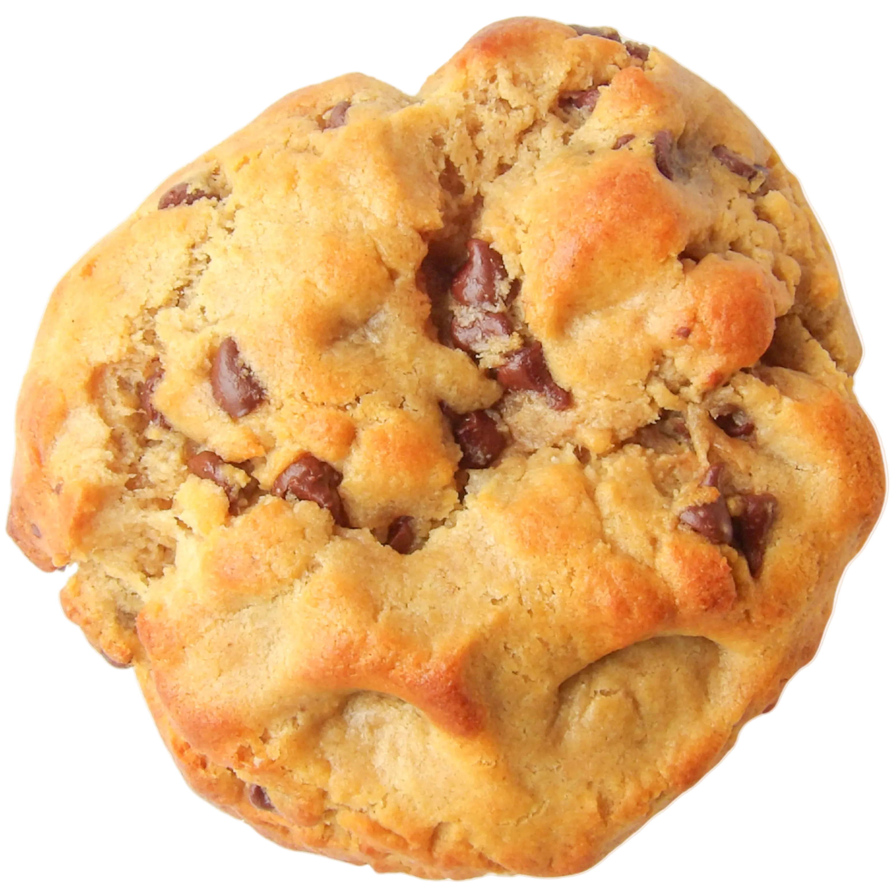 Cookie of the Week: "Apple Jacked" Protein Cookie